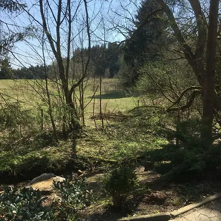 Wandervogel *